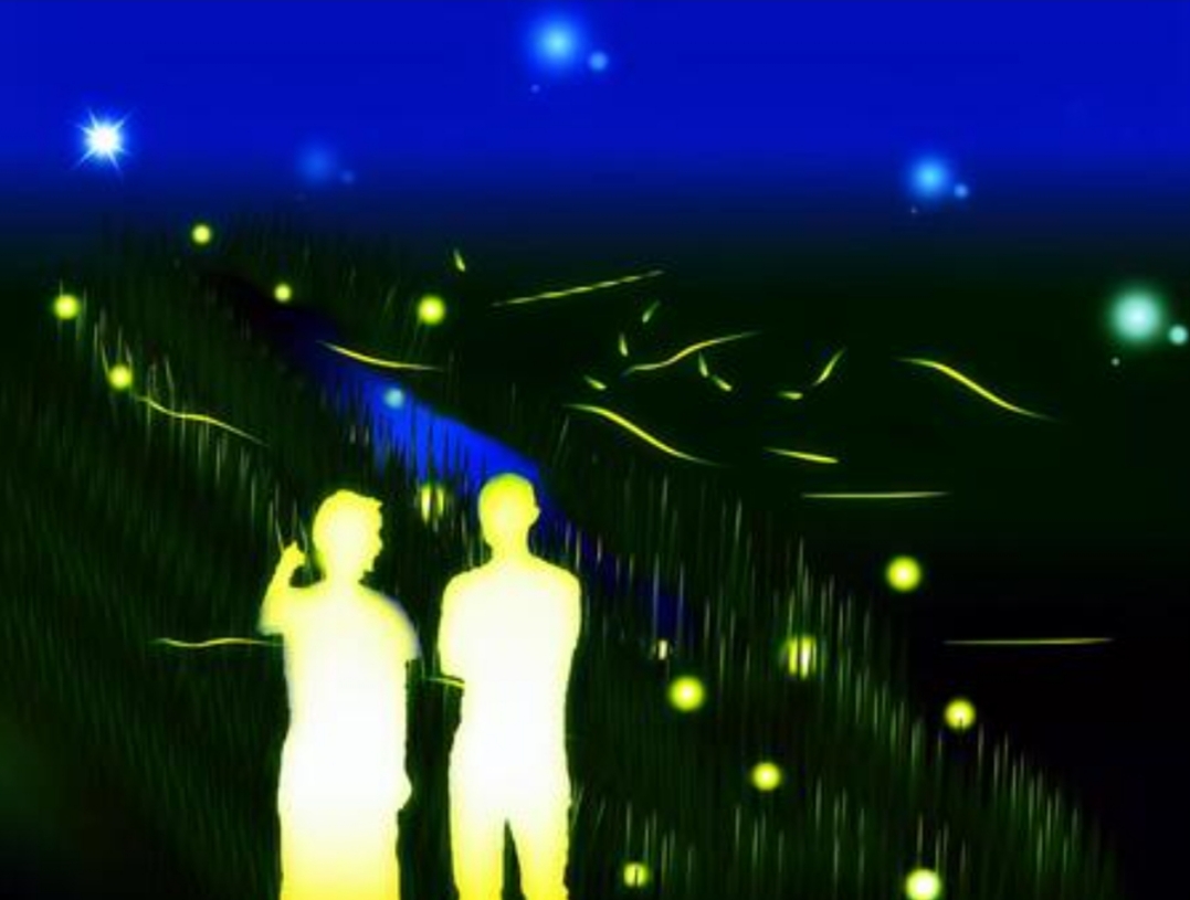 （ヒメボタル）観察会・撮影会」開催